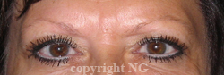 eyebrows