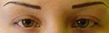 eyebrow
