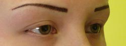 eyebrow